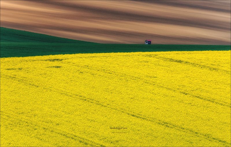 южная моравия,пейзаж,hils,линии,south moravian,lines,свет,czec,hвесна,чехия,landscapes,рапс МОРАВСКАЯ ГРАФИКА фото превью