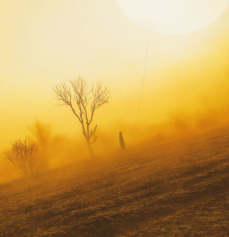 солнце,девушка,арт Ловец солнцаphoto preview