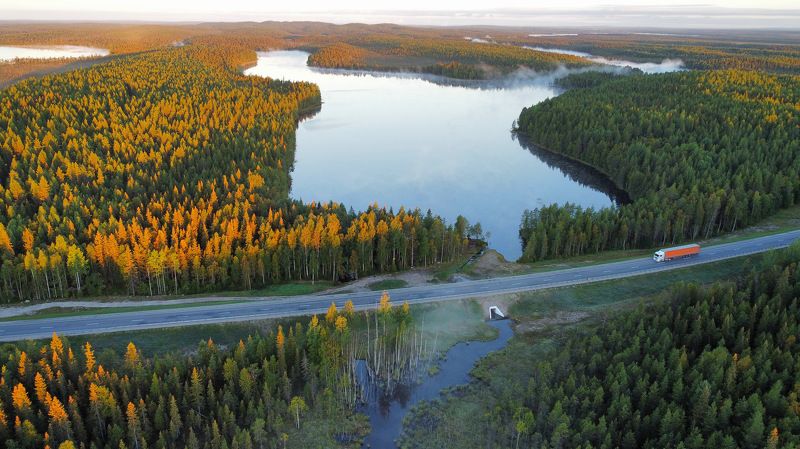 лес, озёра, реки, дорога, трасса, туман, утро Утро в Карелииphoto preview
