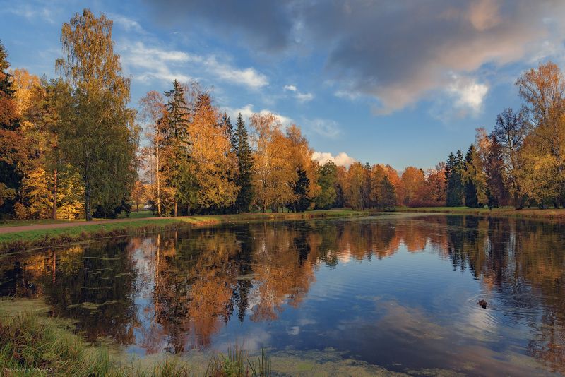 осень, парк, павловский парк, павловск, небо, облака, санкт-петербург На прудуphoto preview