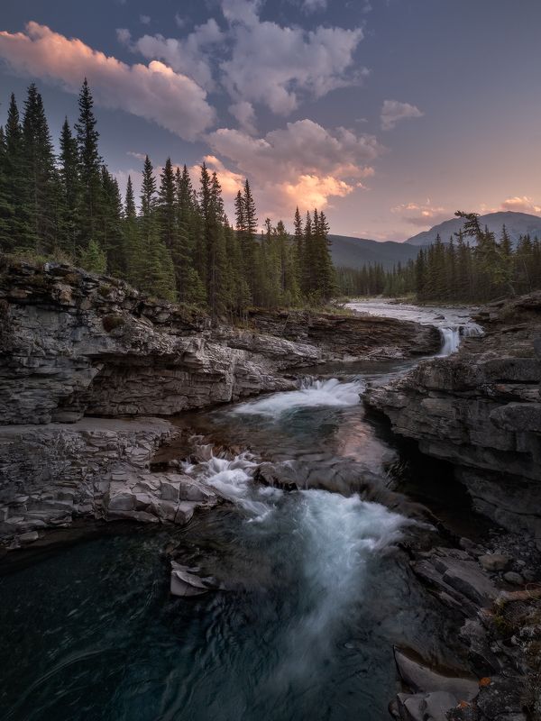 sheep, river, rapids Порогиphoto preview