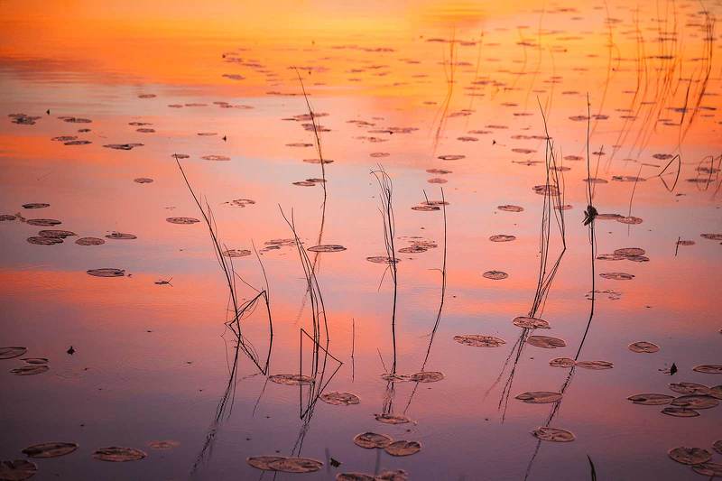 На рассветеphoto preview