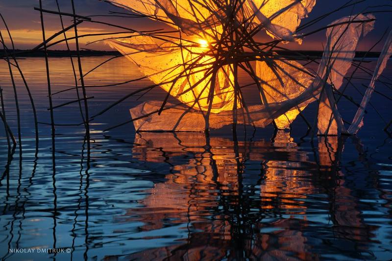 пейзаж 	 декоратор острова. авторская инсталляция.photo preview