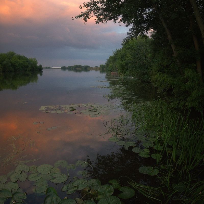 Река Москваphoto preview