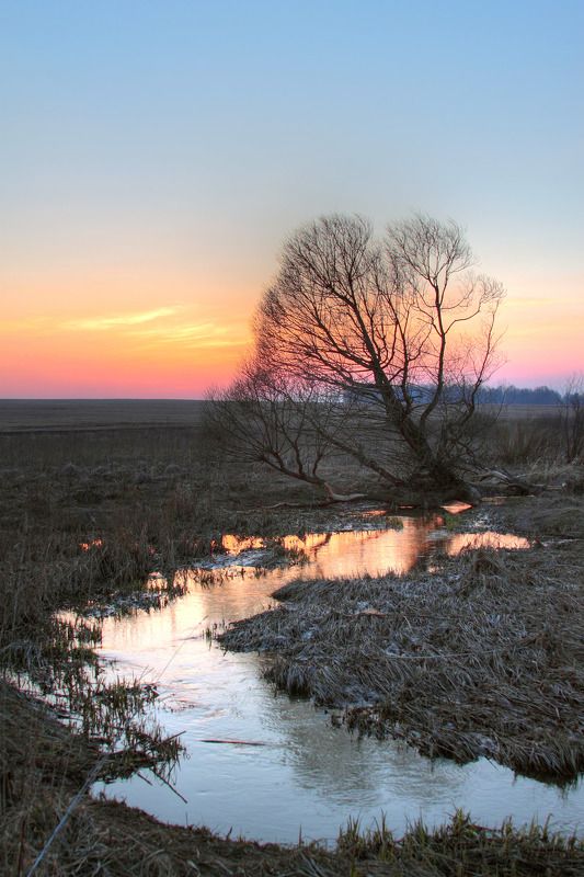 Начало весныphoto preview