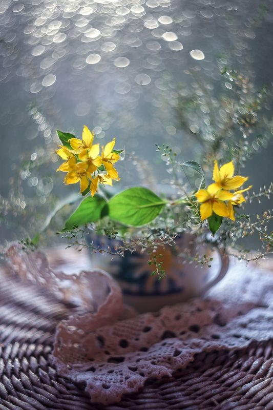 теплое утро,старый объектив ,гелиос 44-3,глоток утра,ирина горюкина Bonjour!) фото превью