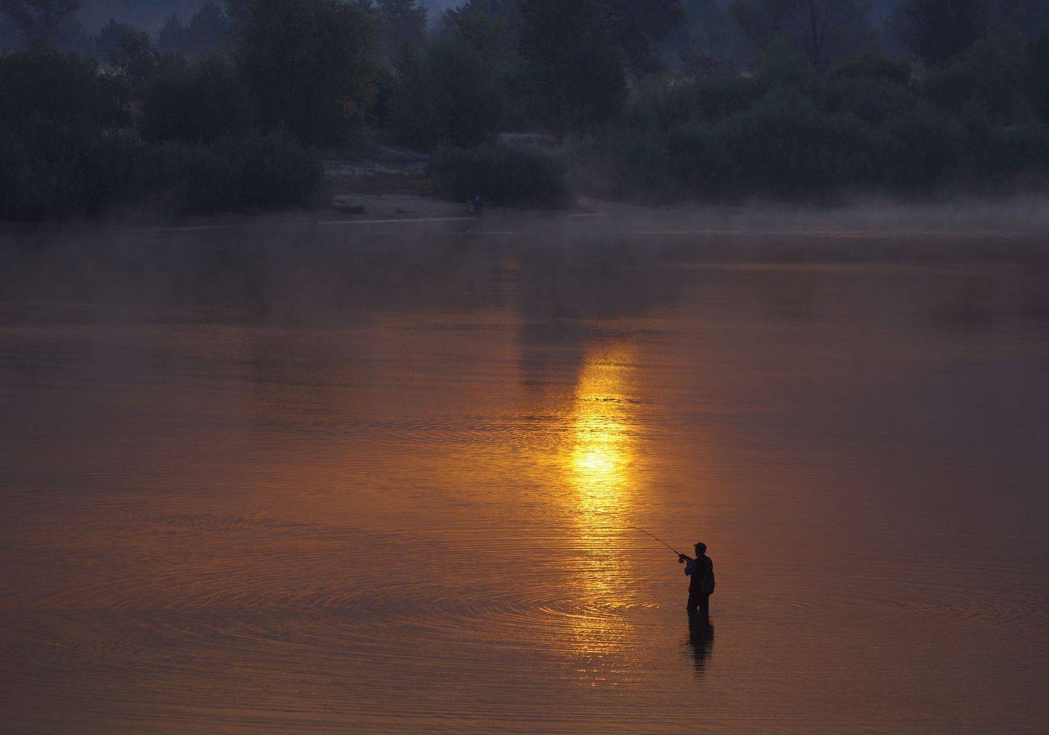 Летнее утро. Автор: Сергей Шляга , Сергей Шляга