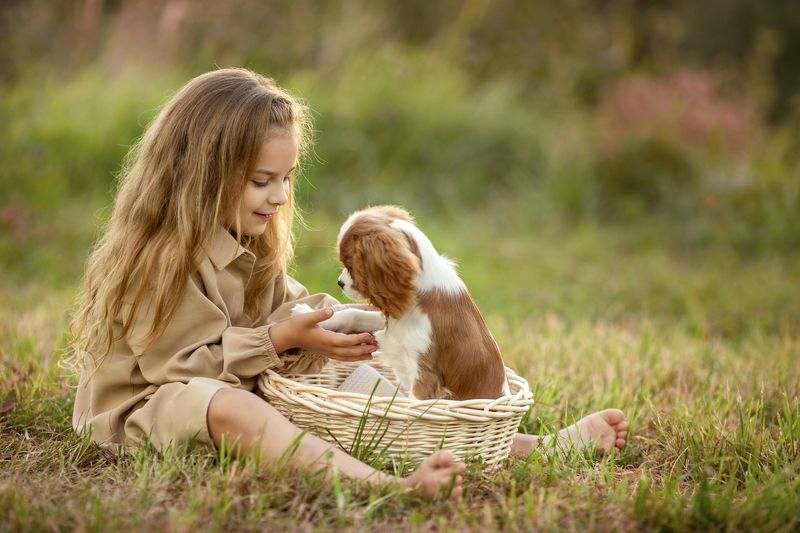 Трям! Здравствуйте!photo preview