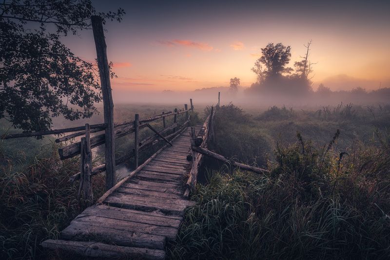 Misty morningphoto preview