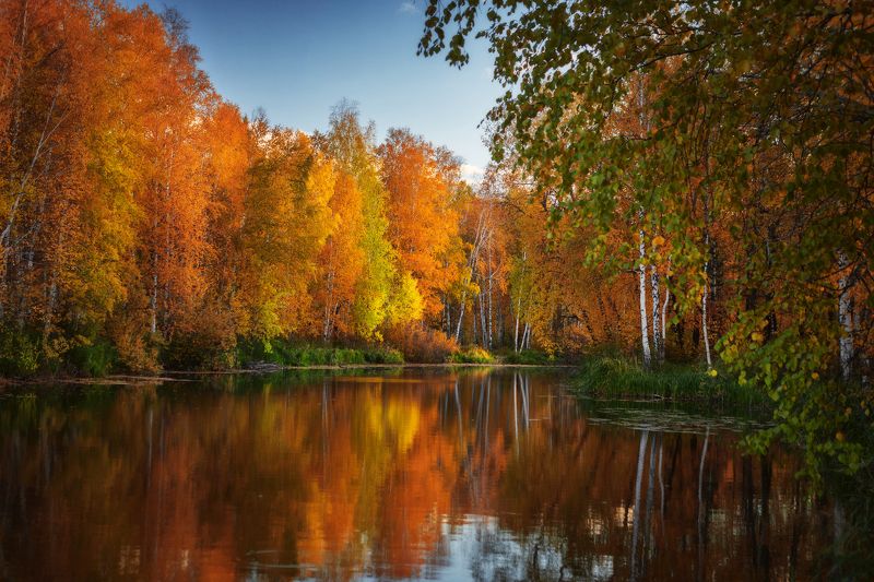 озеро, горы, лес, природа, закат, рассвет, красота, приключения, путешествие Осени дыханиеphoto preview