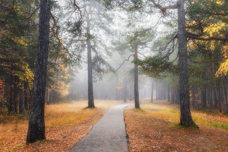 Осень в паркеphoto preview