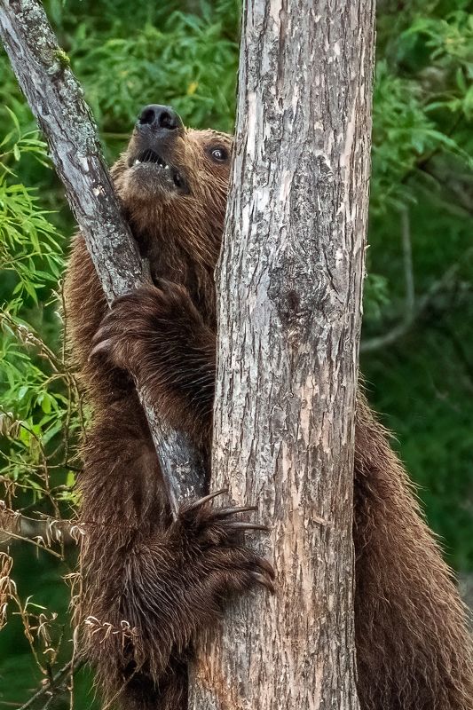 Страх фото превью