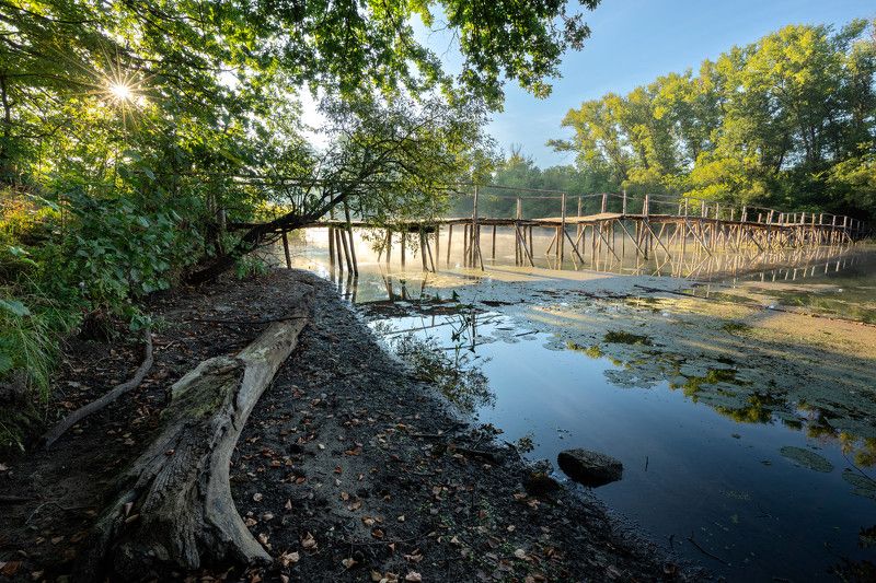 Осенняя дорога на дачиphoto preview