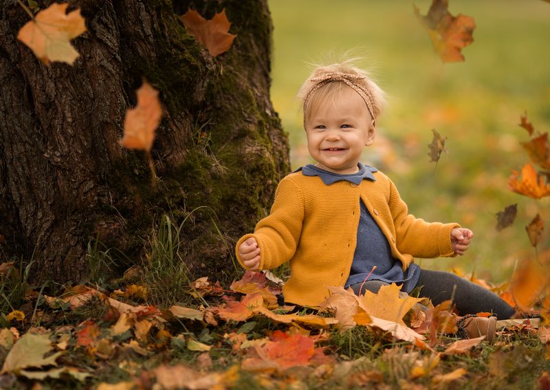 листопадphoto preview