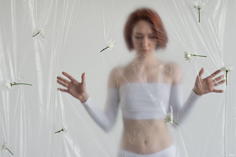 Flovers and Membranephoto preview