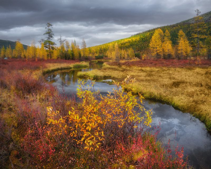 осень, колыма Моменты осени на Колымеphoto preview