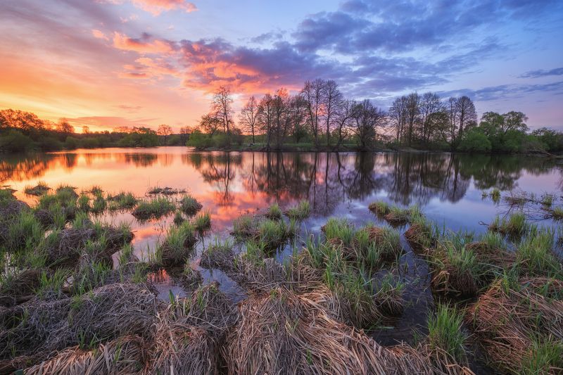 2022, россия, калужская область, огубь, утро, деревья, пейзаж, весна, трава, река, отражение, берег, рассвет, облака ***photo preview