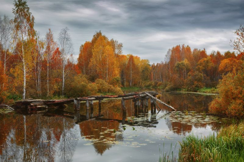 озеро, горы, лес, природа, закат, рассвет, красота, приключения, путешествие Тишина осенняяphoto preview