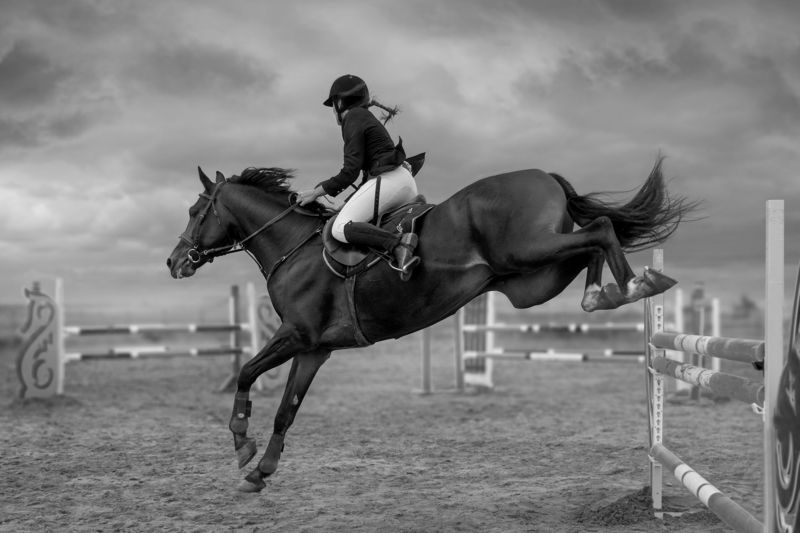 Лошадь, лошади, horse, конкур, спорт В полёте photo preview