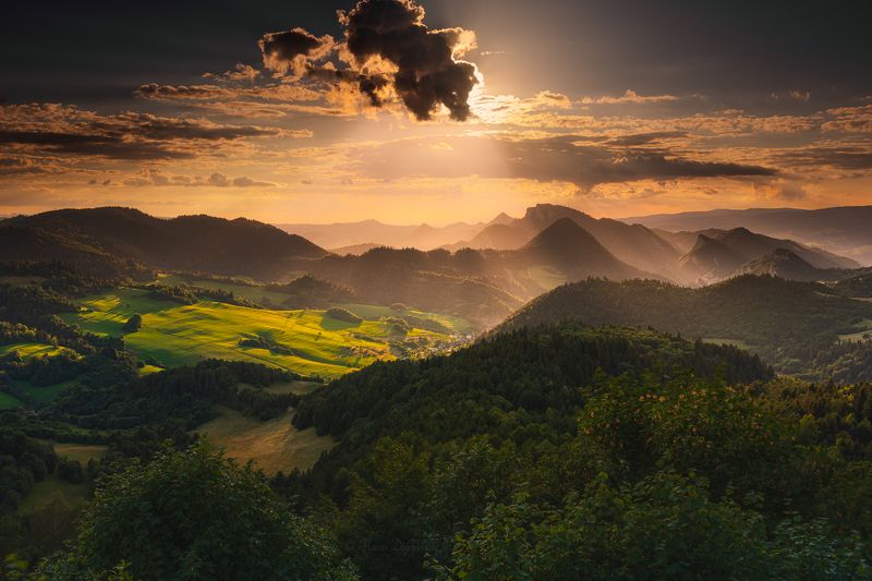 poland, slovakia, pieniny, carpathians, karpaty, sunset, mountains, sunlight, trees, forest, clouds, landscape, mountainscape, plants, sky, warm colors, polska, slovensko, wysoki wierch, trzy korony Fig Leafphoto preview