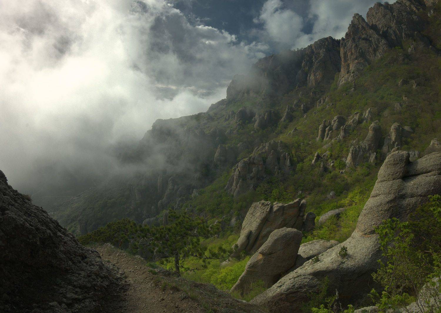 , Алексей Никонов