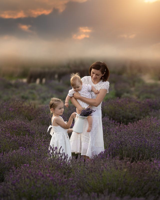 A garden full of lavenderphoto preview