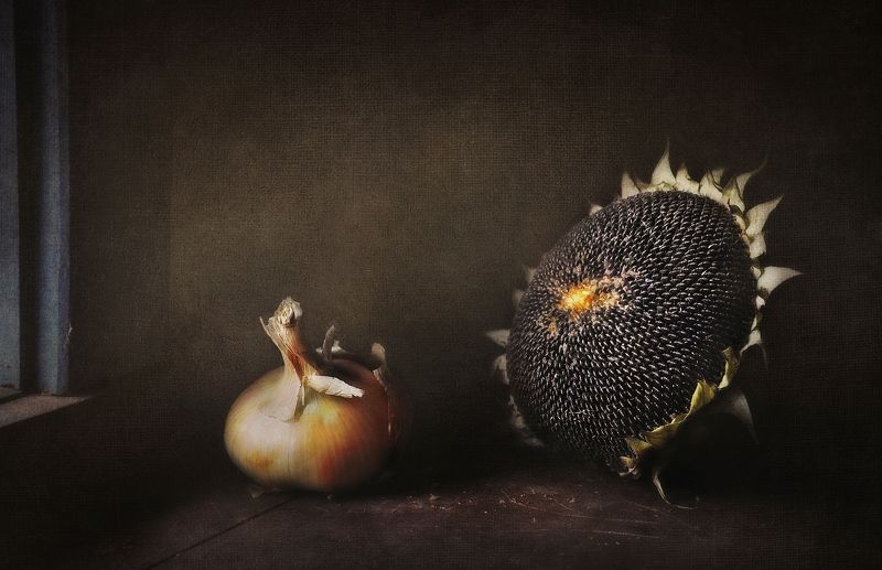 Чёрное солнцеphoto preview