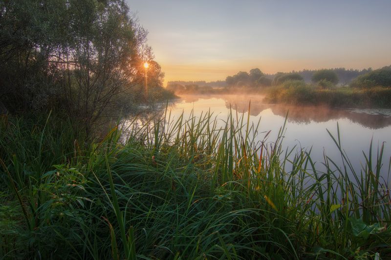 пейзаж, рассвет, туман, река, утро, landscape, dawn, fog, river, morning Летняя пора на реке Волчьяphoto preview