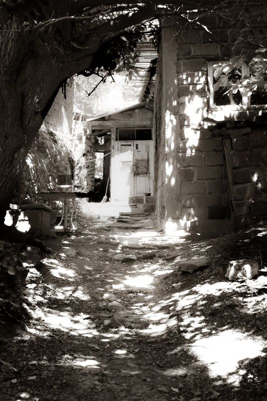 Игра светаphoto preview