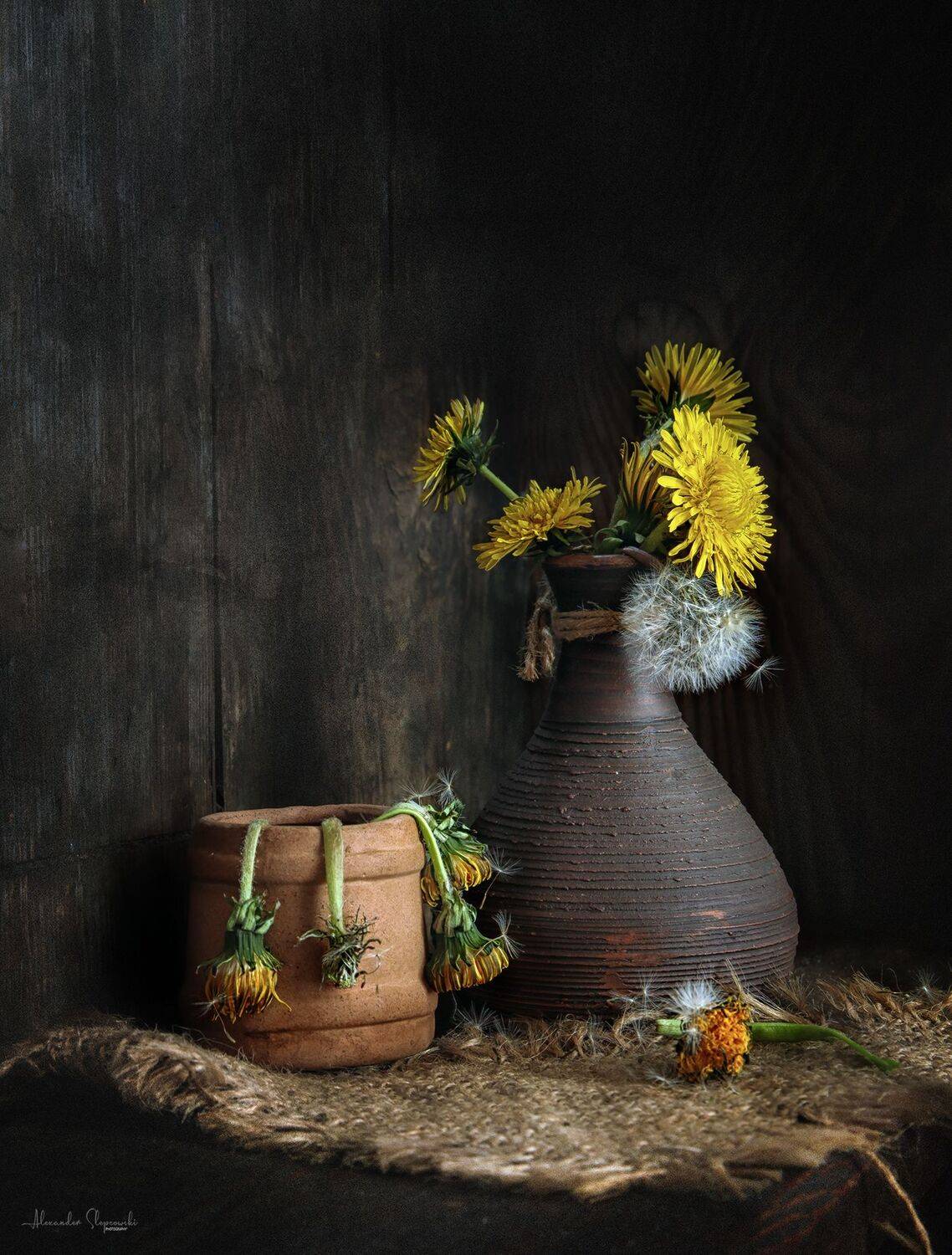 , Alexander Slepcowski