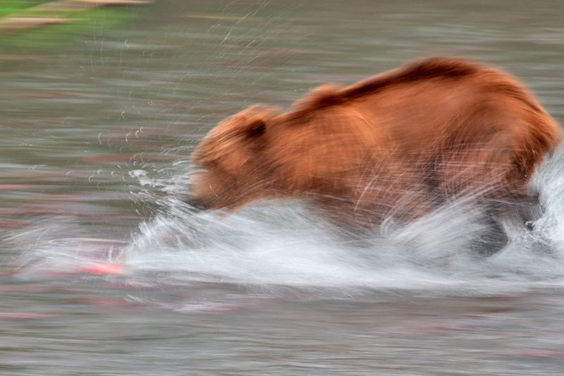 Скорость фото превью