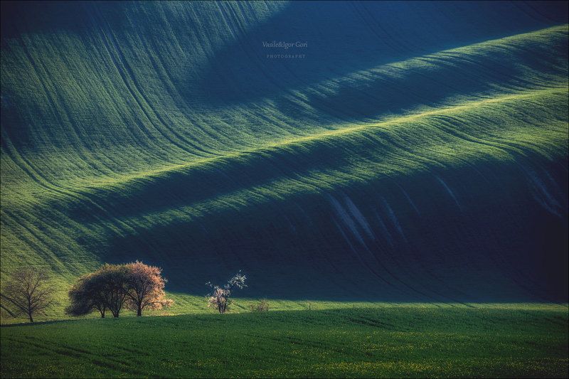 южная моравия,пейзаж,hils,линии,тени,south moravian,lines,свет,czech,весна,чехия,landscapes. Апрельская светотень фото превью