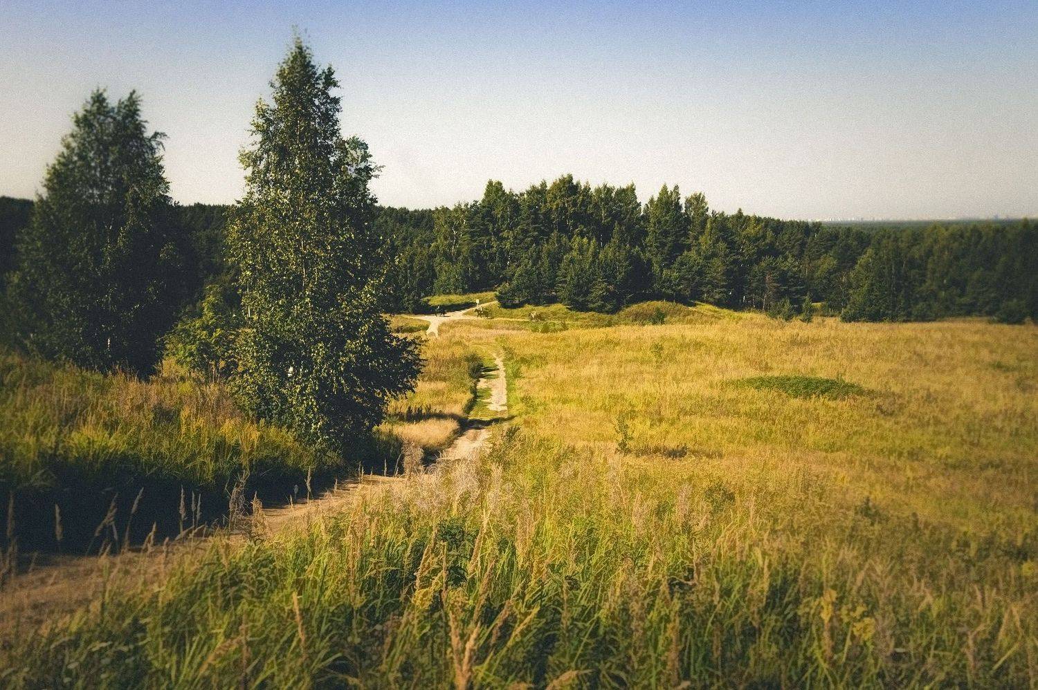 Автор: Алексей Герасимов , Алексей Герасимов