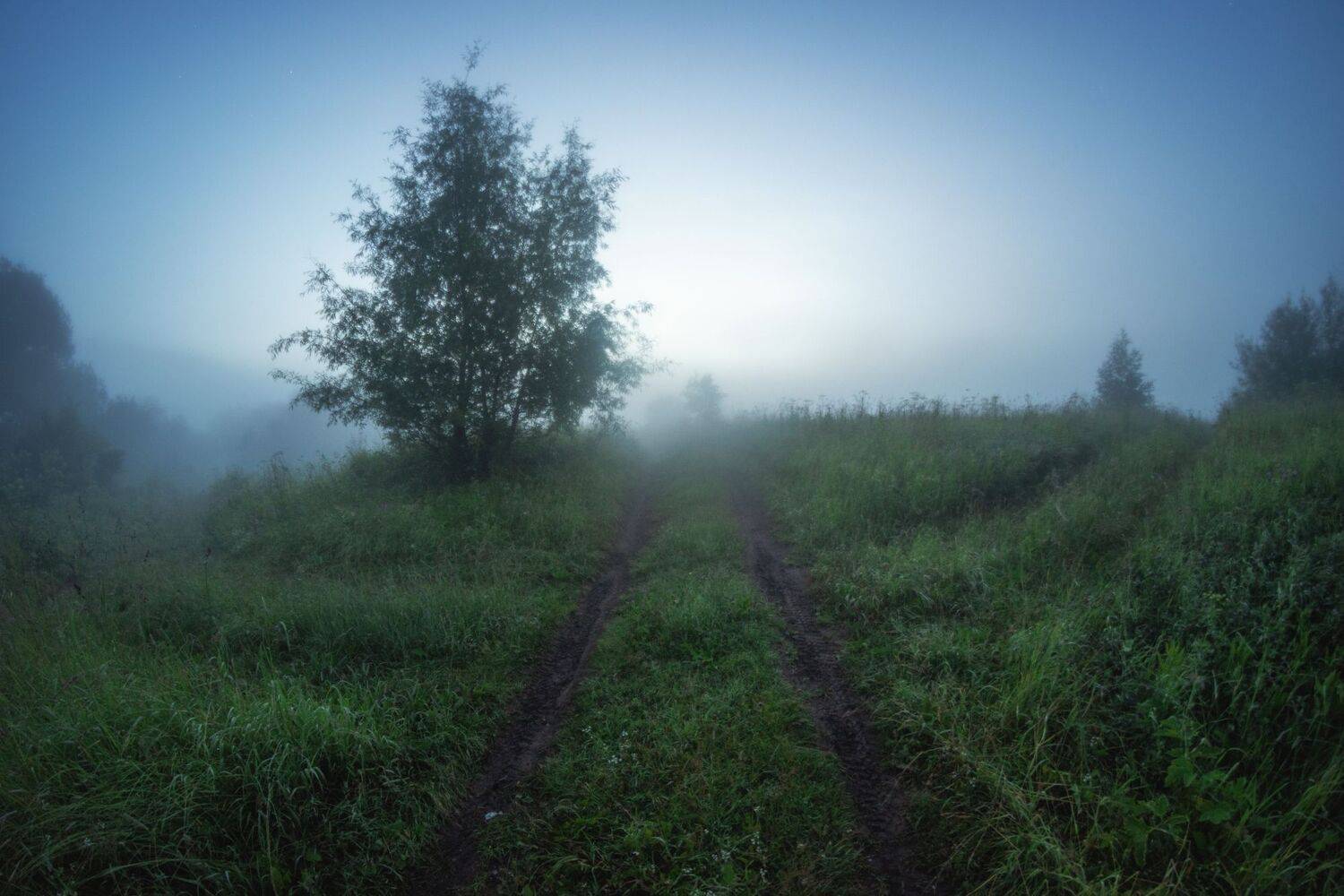 Полевой перекрёсток. Автор: Котов Андрей , Котов Андрей