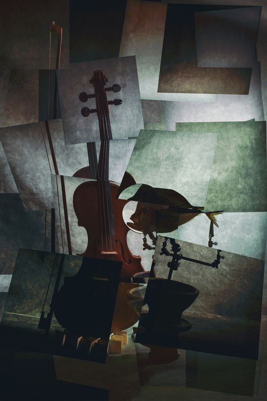 Лунная сонатаphoto preview