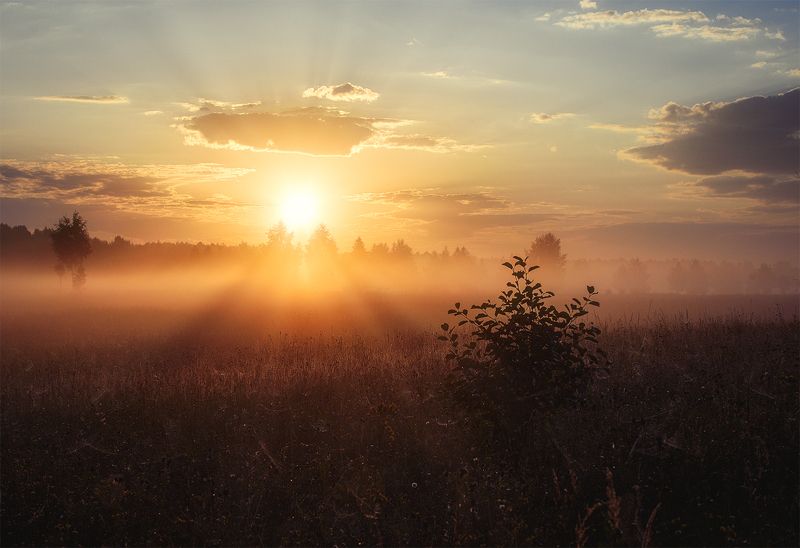 Время тумановphoto preview