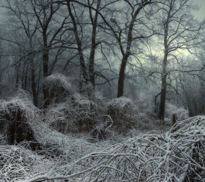 Зимний сонphoto preview