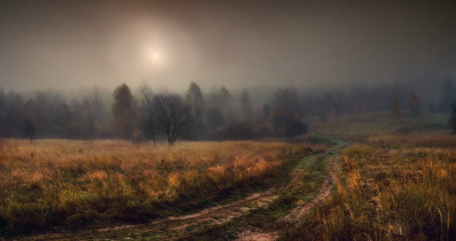 осень, туман, дорога, Владимир