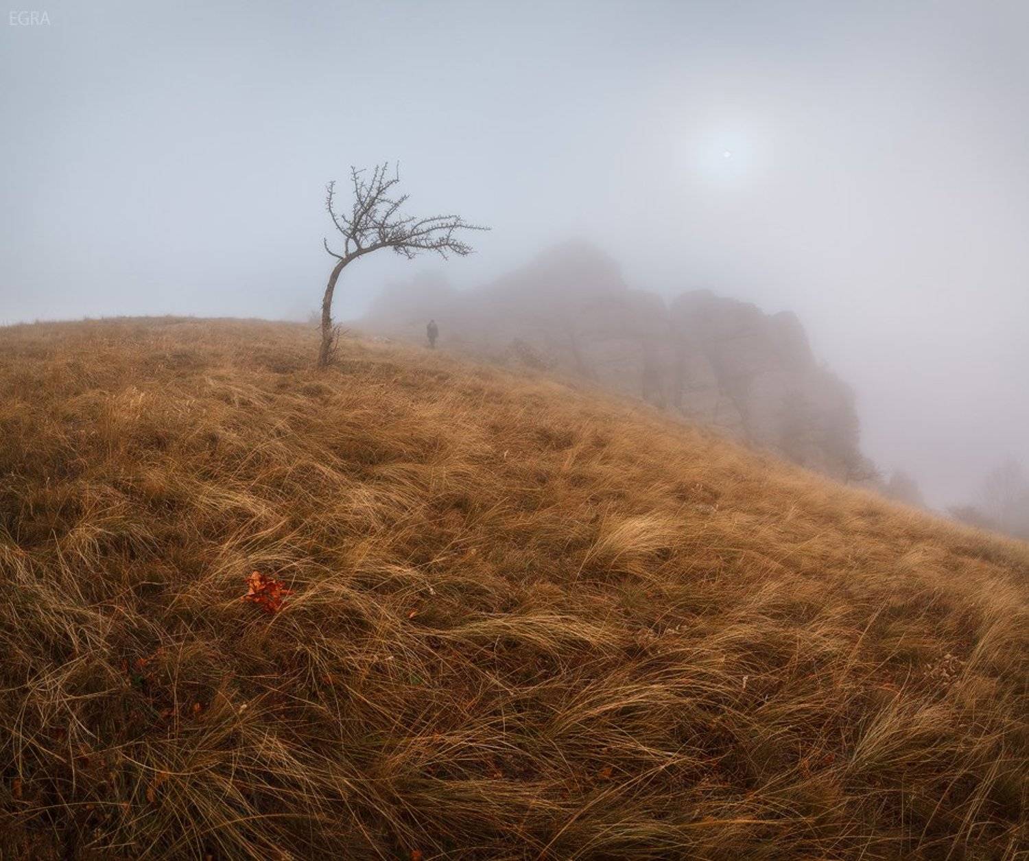 крайний. Автор: EGRA crimea, demirdji, демирджи, крым, EGRA