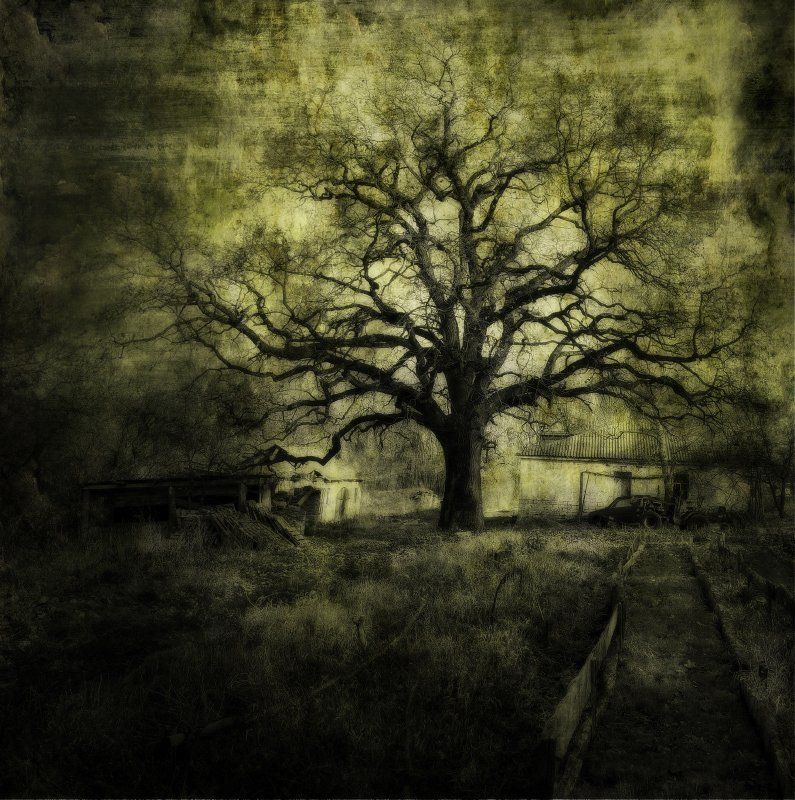 *** фото превью