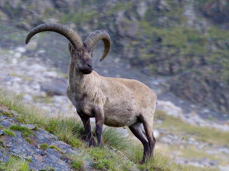 Дагестанский турphoto preview