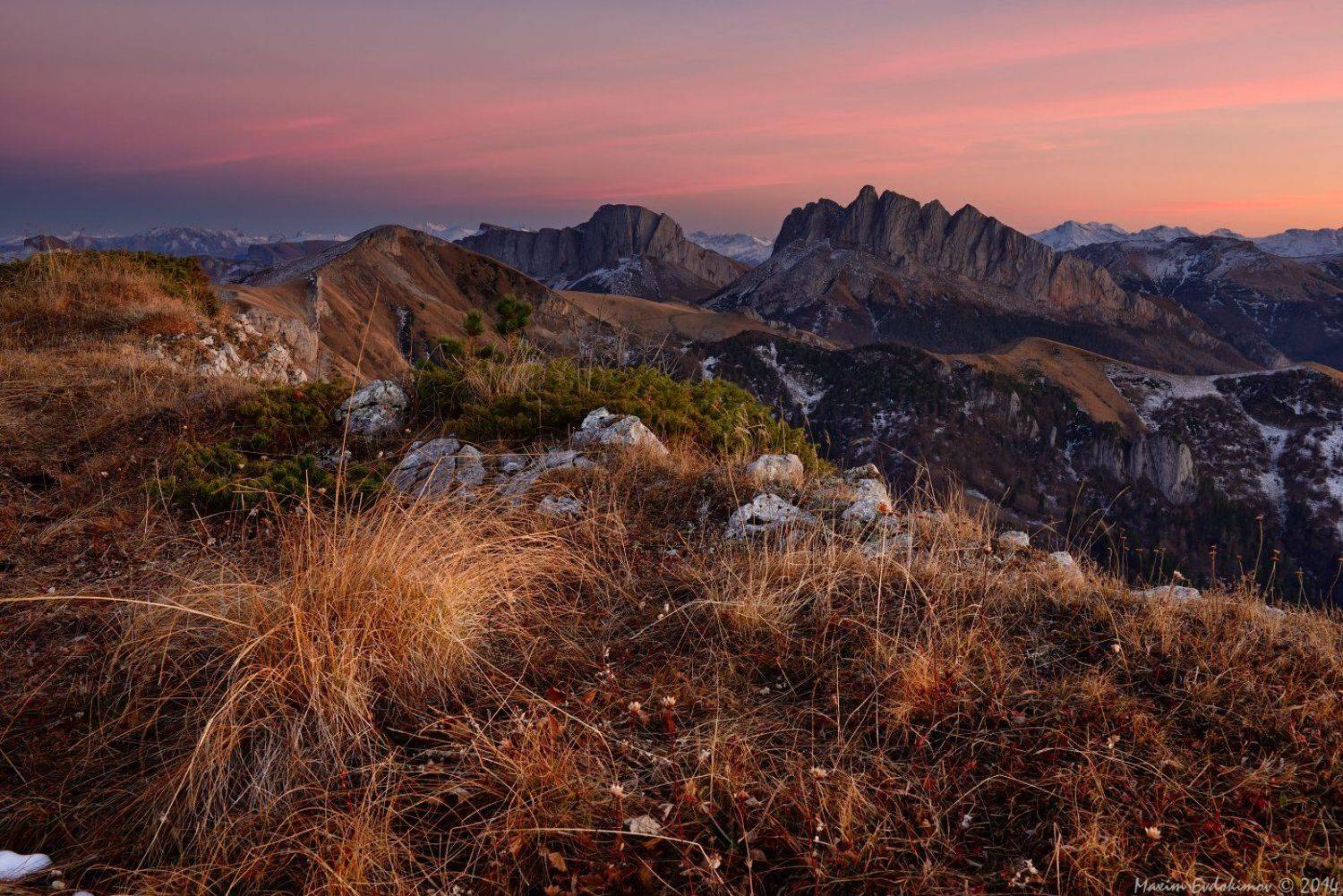 , Максим Евдокимов