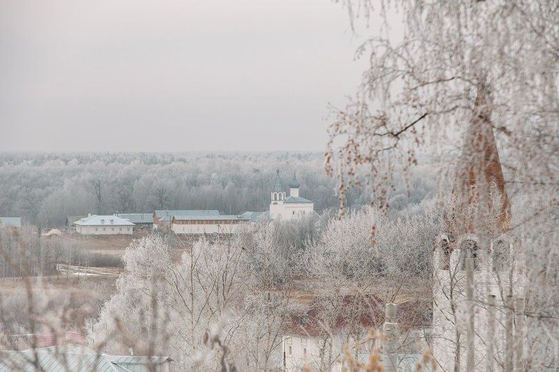 Gorohovetsphoto preview