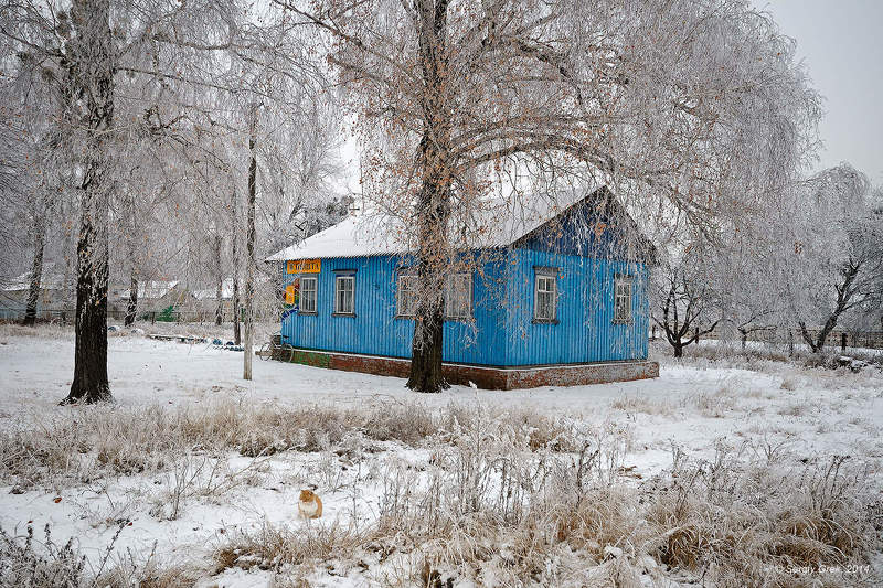 Cat, Rime, Winter, Зима, Изморозь, Кот, Почта Почтаphoto preview