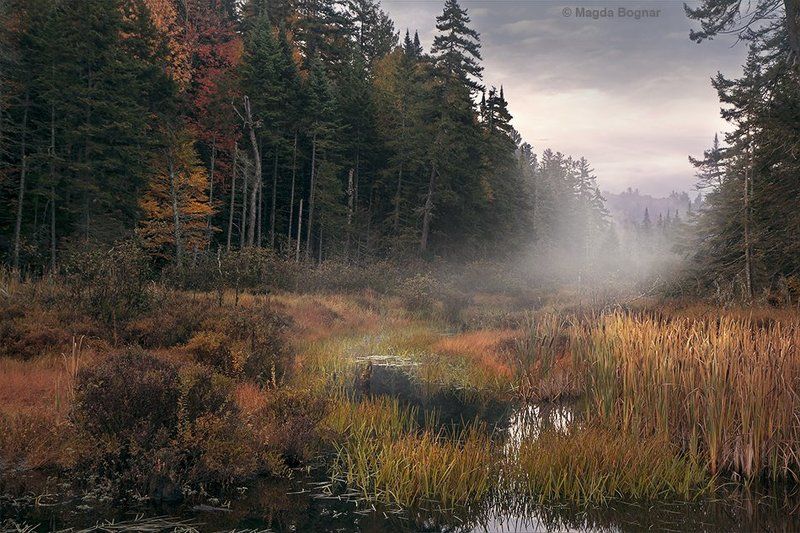 Lake Placid, NYphoto preview