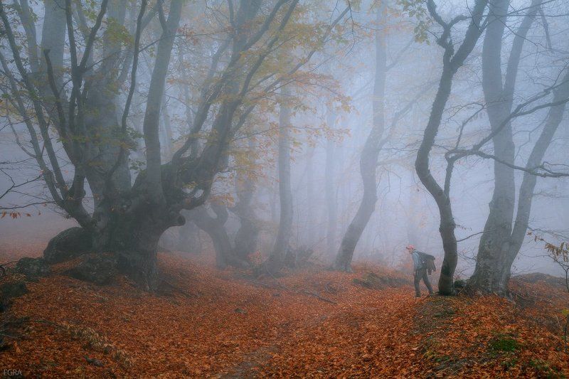 crimea, demirdji, fog, mist, демирджи, крым, туман водный мир Демирджи IIphoto preview