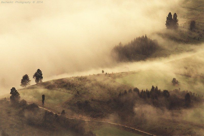 Kingdom Of Heaven IXphoto preview