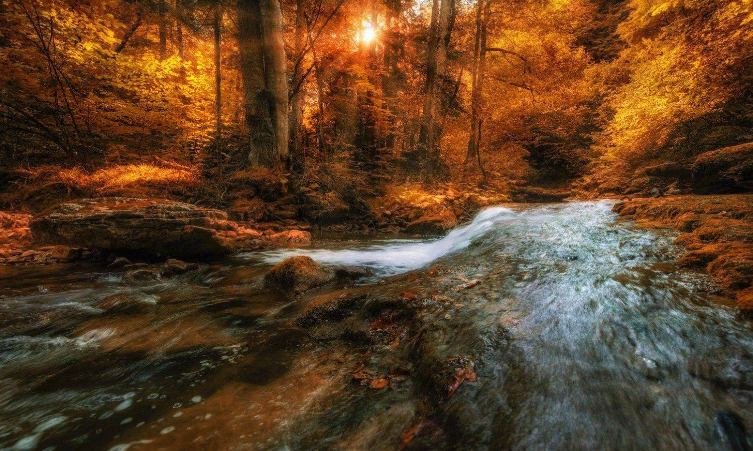 Вспоминая осень. Автор: ФЁДОР , ФЁДОР