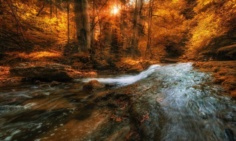 Вспоминая осеньphoto preview