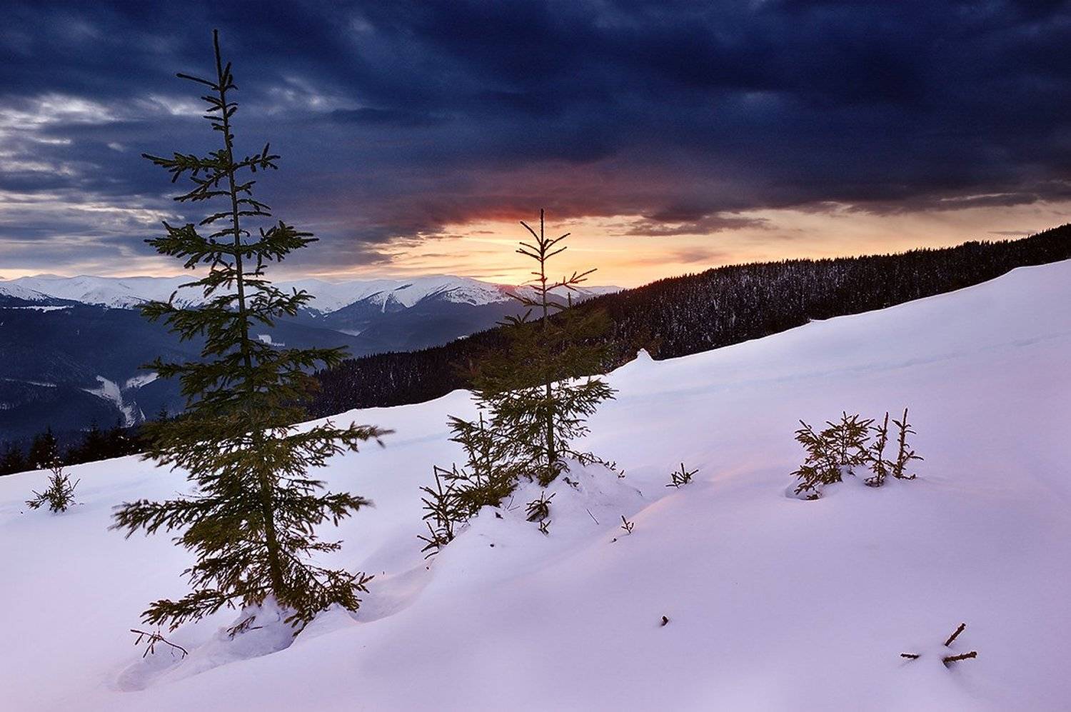 Nightfall. Автор: Я , Я